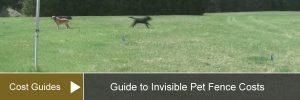 invisible-fence-cost