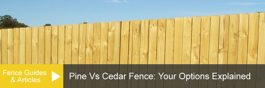 Comparing Cedar Vs Pine Fence Cost, Pros & Cons