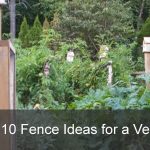 10 Fence Ideas for a Vegetable Garden