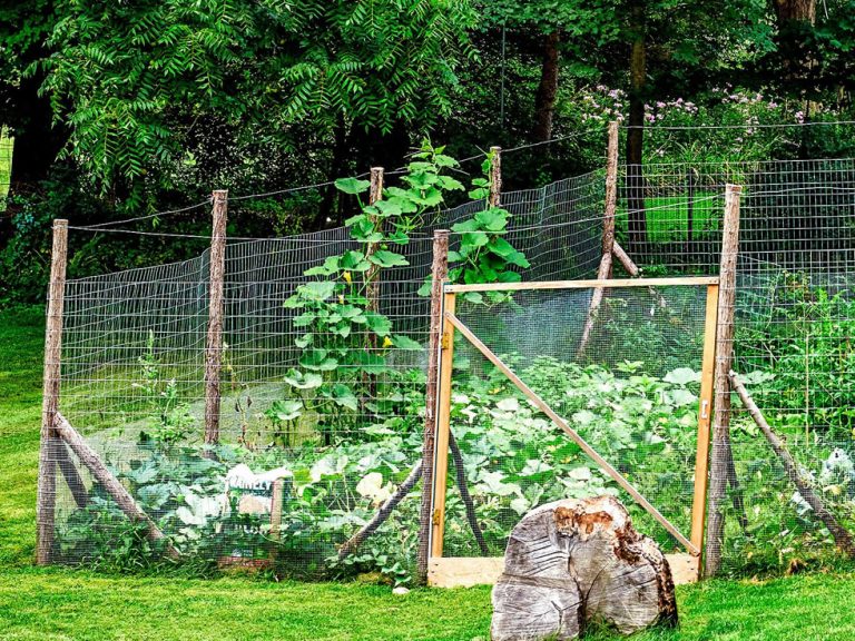 10 Fence Ideas for a Vegetable Garden Fence Guides