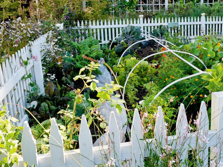 10 Fence Ideas for a Vegetable Garden Fence Guides